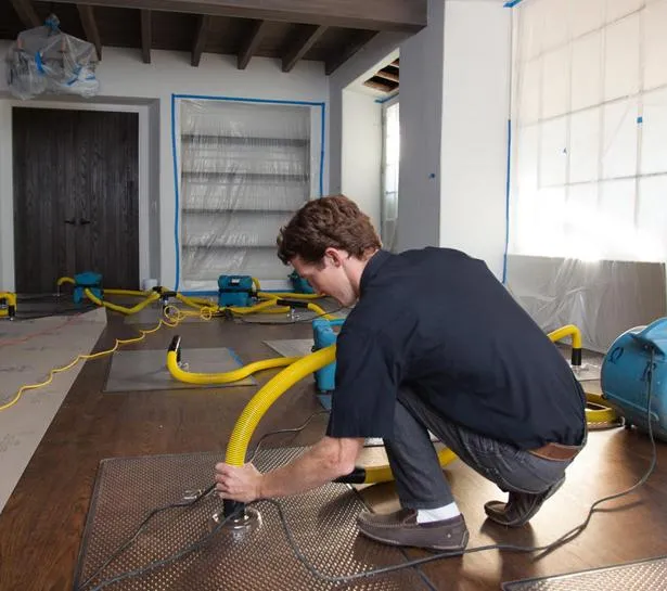 Your Trusted Partner in Mold and Property Restoration in Houston, TX