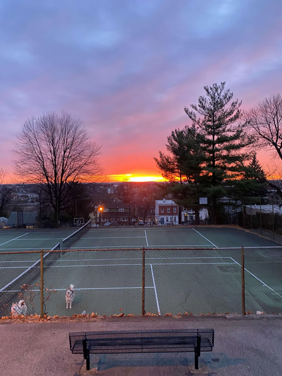 A public playground in the Bronx, where children play and potential hazards like unsafe equipment, poor maintenance, and negligent supervision can lead to injuries. Our Bronx personal injury lawyers help families seek compensation for playground accidents