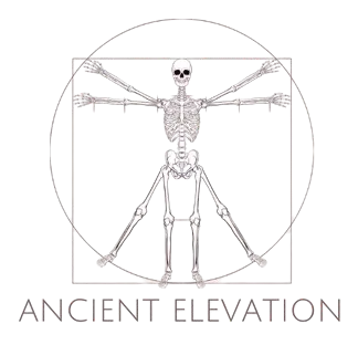 Ancient Elevation: Holistic Bodywork & Cupping Therapy