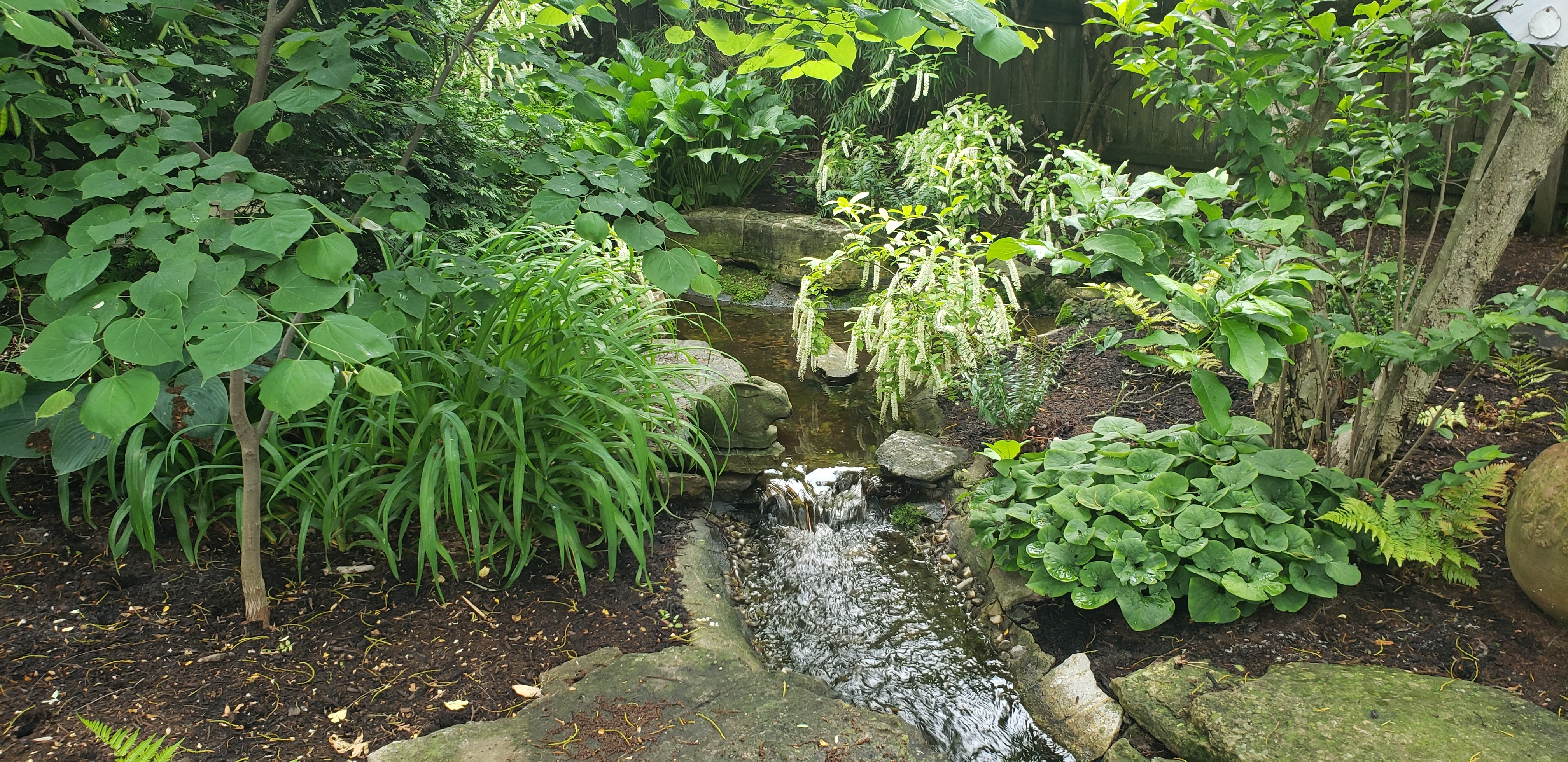 Native Kentucky Plants for Landscaping (Low-Maintenance Options That Thrive in Lexington, KY)