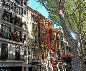 multifamily loans