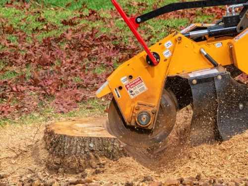 Sarasota Stump grinding