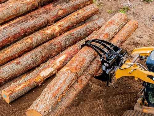 Sarasota Grapple work