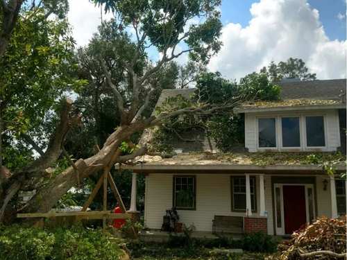 Ellenton Storm cleanup