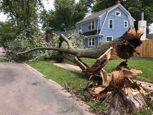 Sarasota Storm cleanup