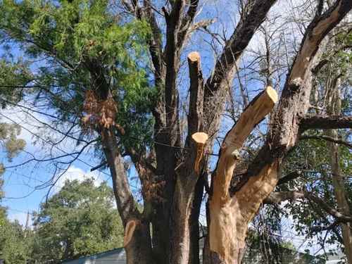 Storm cleanup Manatee County