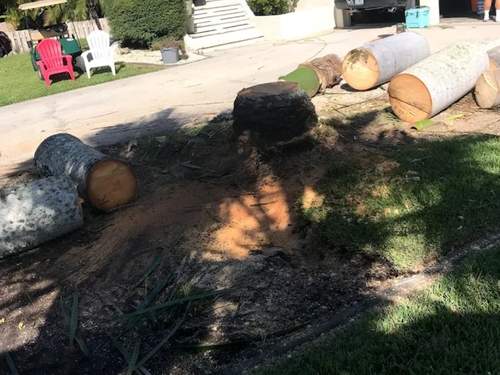 Grapple work Manatee County