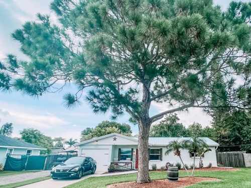 Tree removal Manatee County