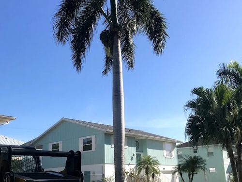 Tractor work Manatee County