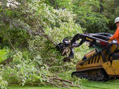 Tree pruning Manatee County