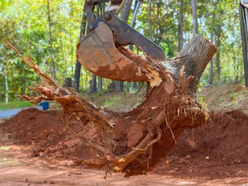 Tractor work Manatee County