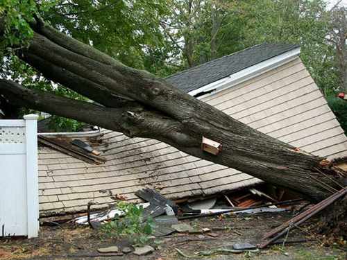 Grapple work Manatee County