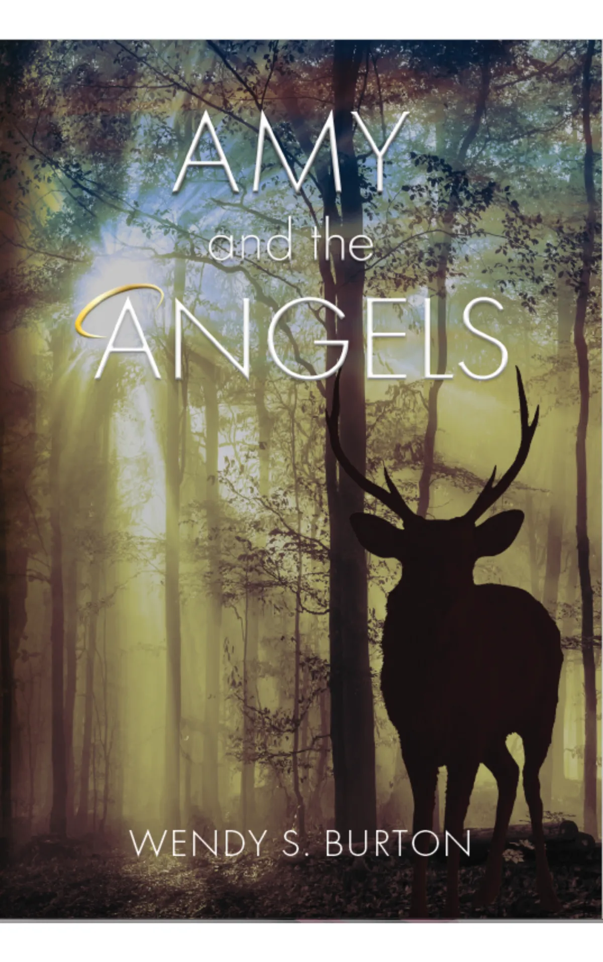 Amy and the Angels  By Wendy S. Burton