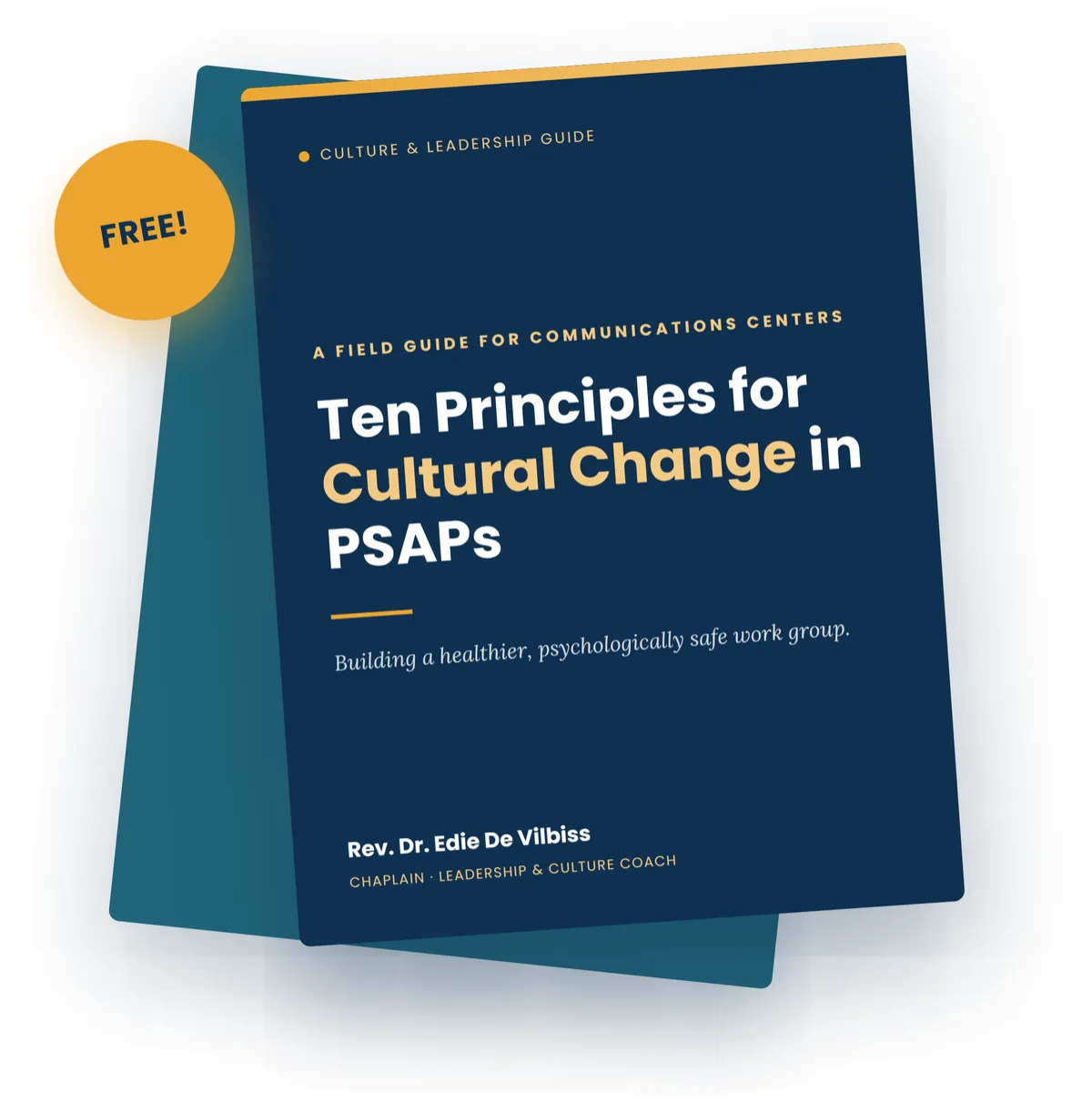 Ten Principles for Cultural Change in PSAPs - free guide cover