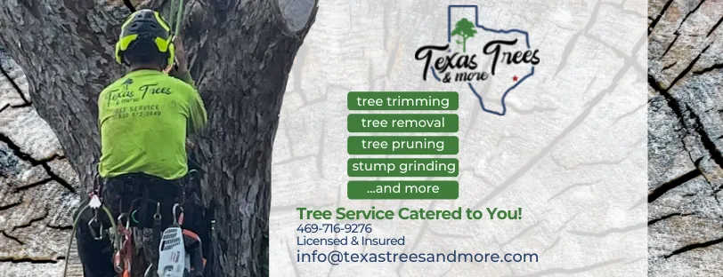 TexasTreesandMore- Image