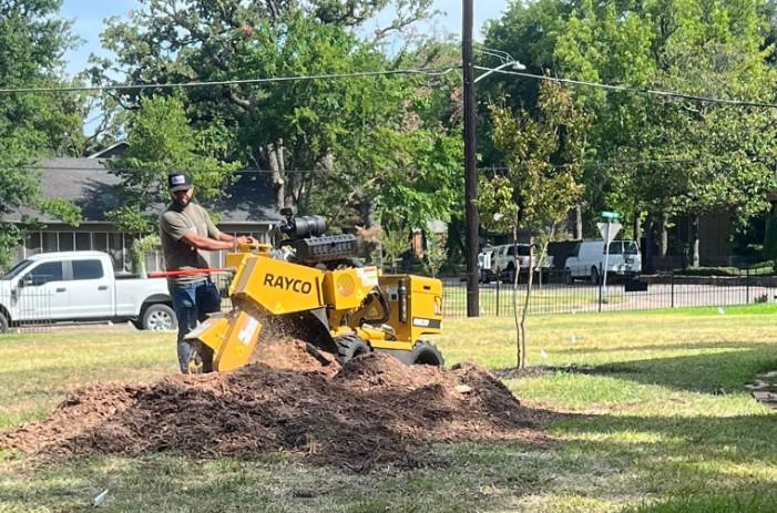Stump Grinding - TexasTreesandMore- Image