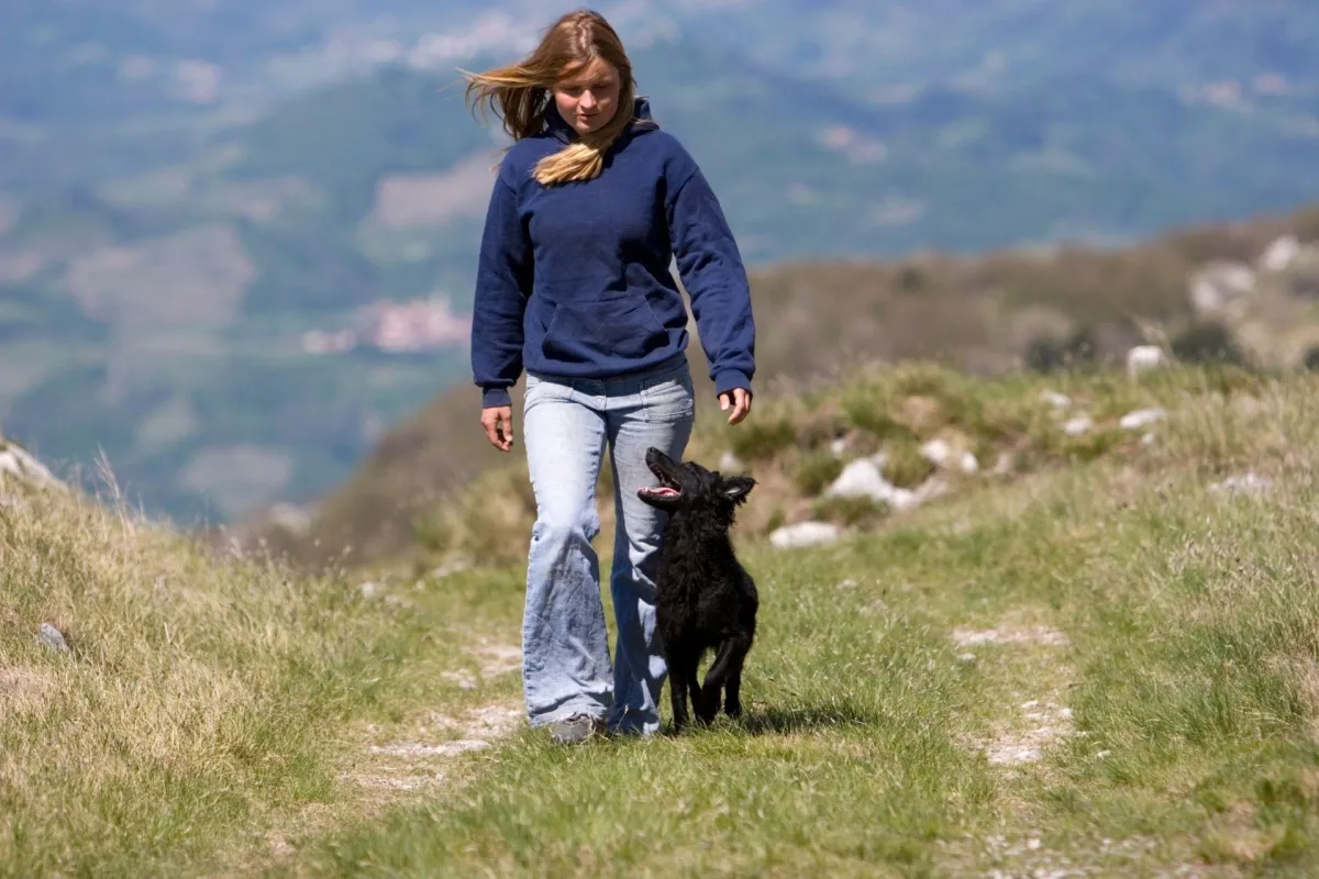 Spring Advanced Obedience Training