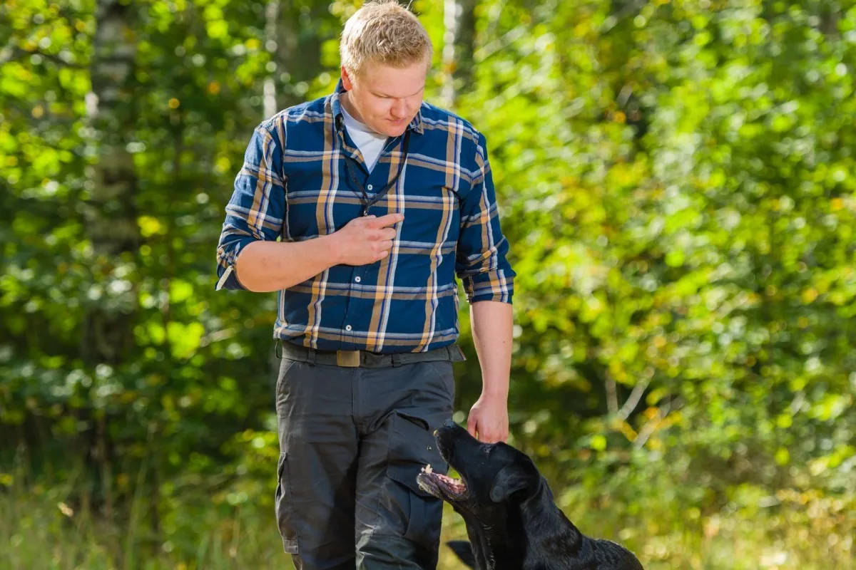  Basic Obedience Training