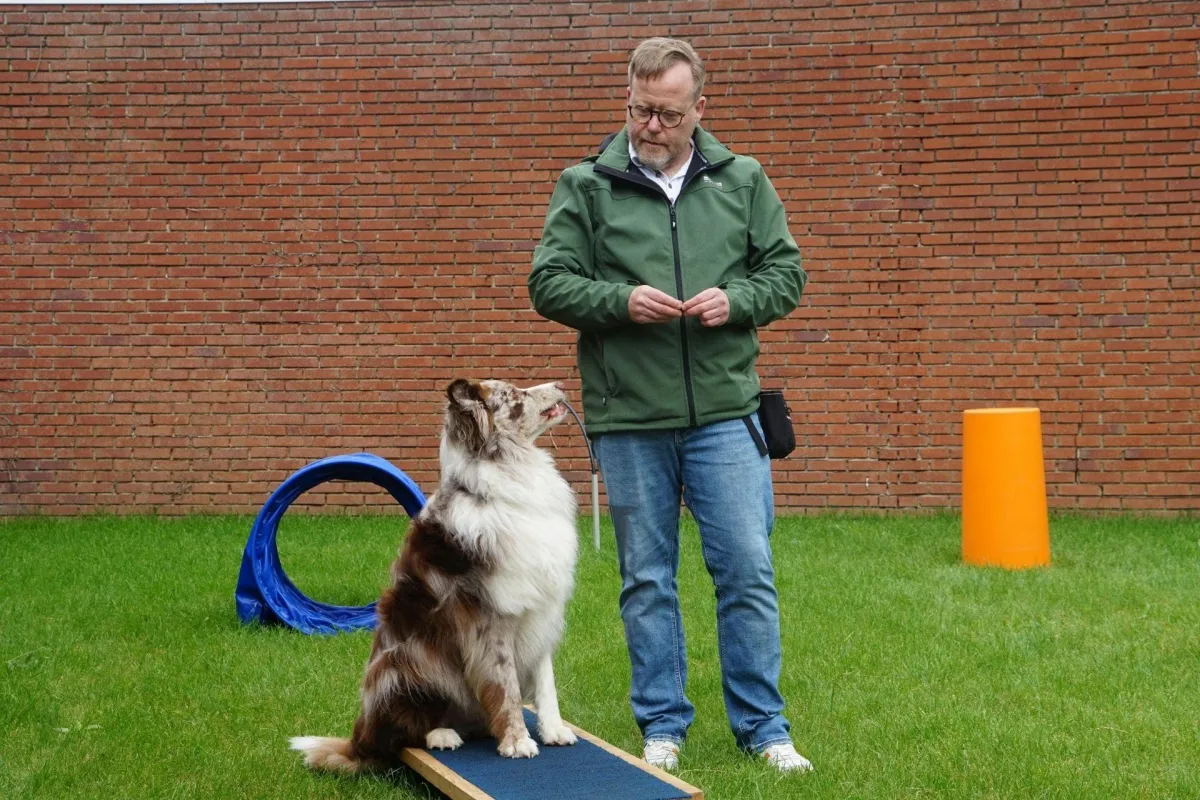 Basic Obedience Training in Kingwood