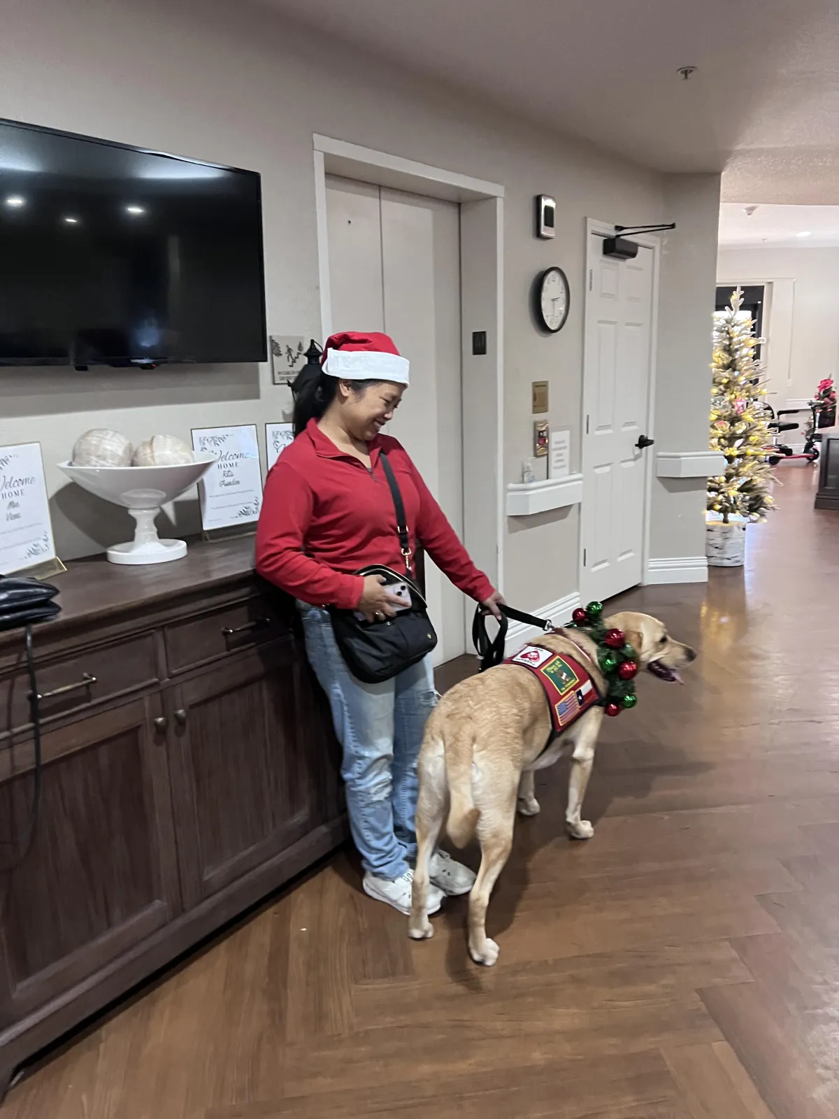 Advanced Obedience Training Kingwood