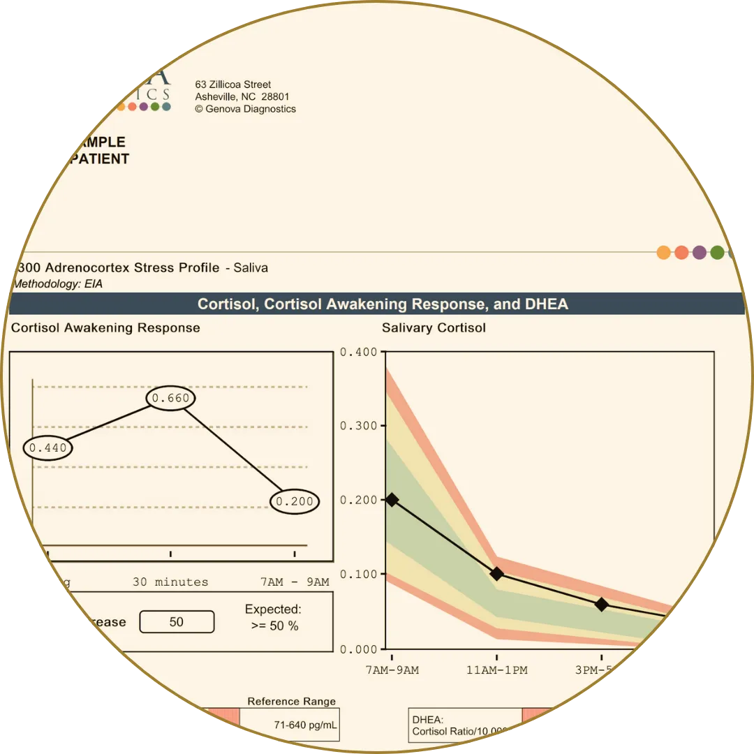 Sample adrenal stress report showing cortisol levels and salivary test results in chart format.