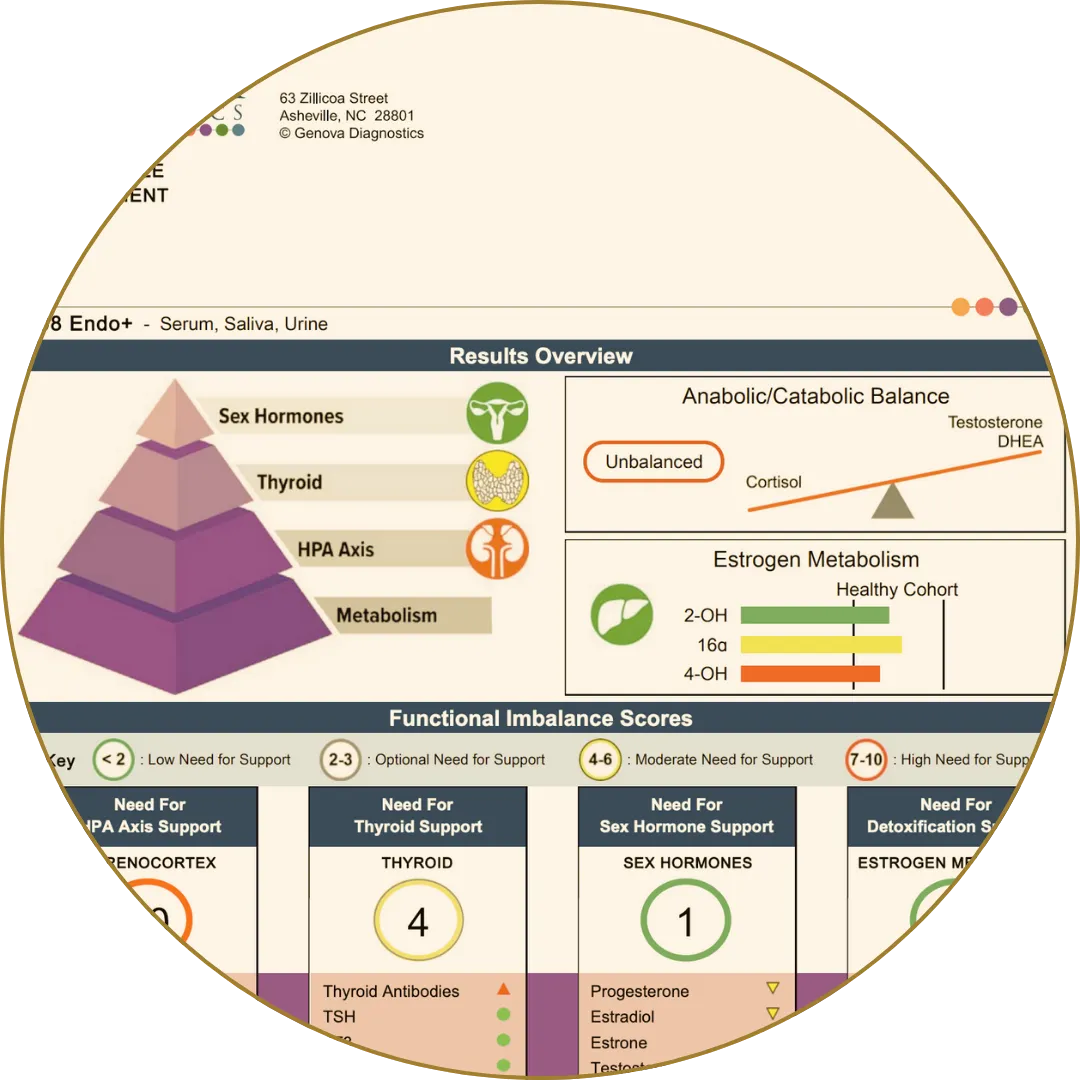 Hormone panel showing results for sex hormones, thyroid, and metabolism with imbalance scores.