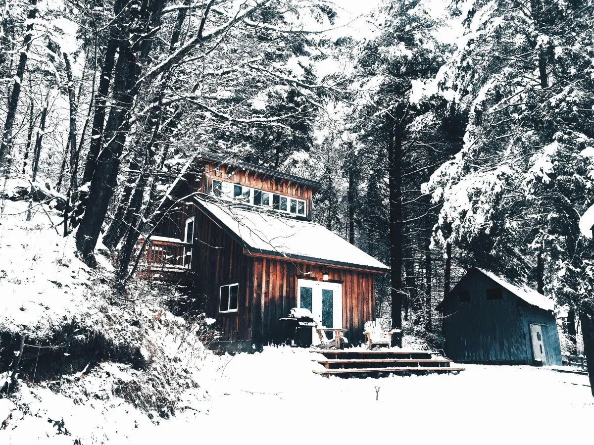 Cabin in the woods