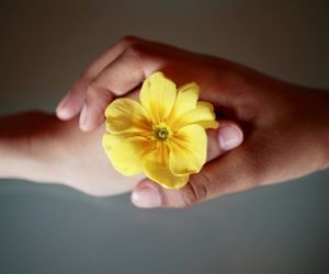 Photo of hand holding flower to symbolise food and body peace