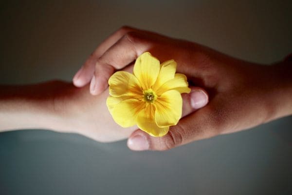 Photo of hand holding flower to symbolise food and body peace