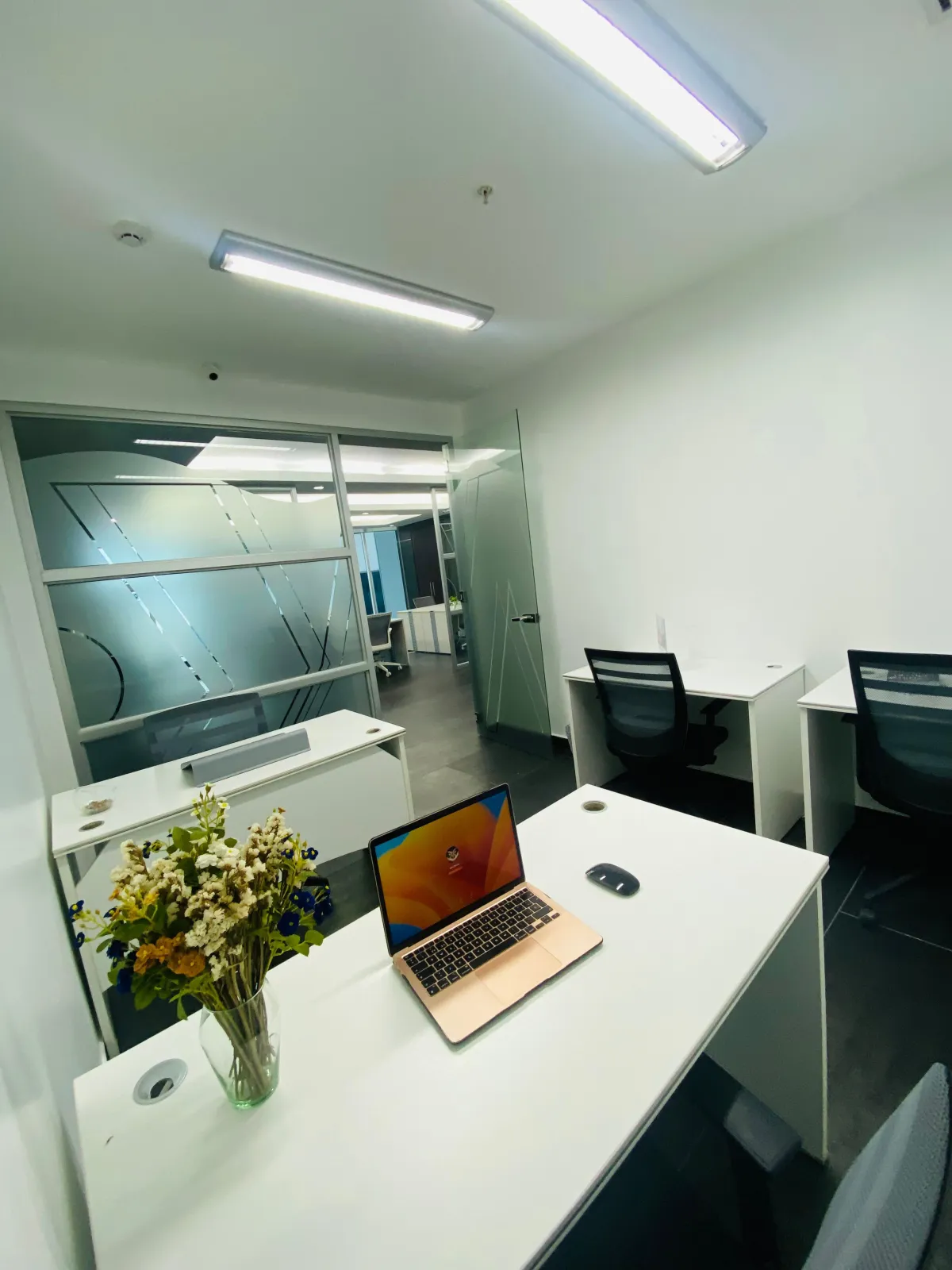Workea Center oficinas economicas en la ciudad de Panamá