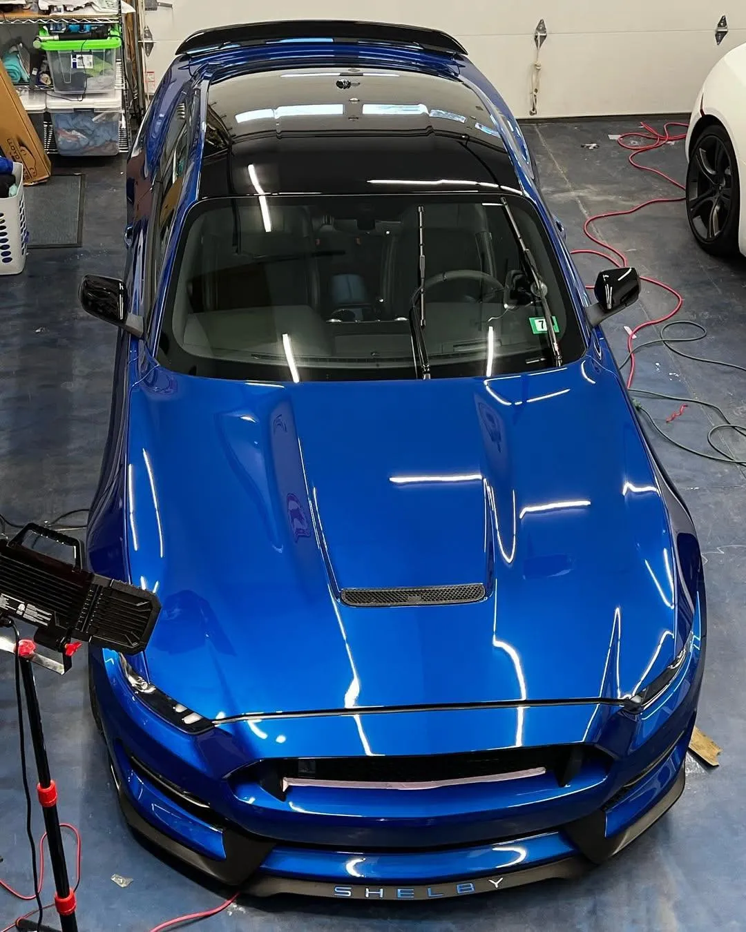 Lethal Premium Car Care - Ceramic Coatings