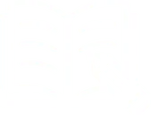 Book Icon