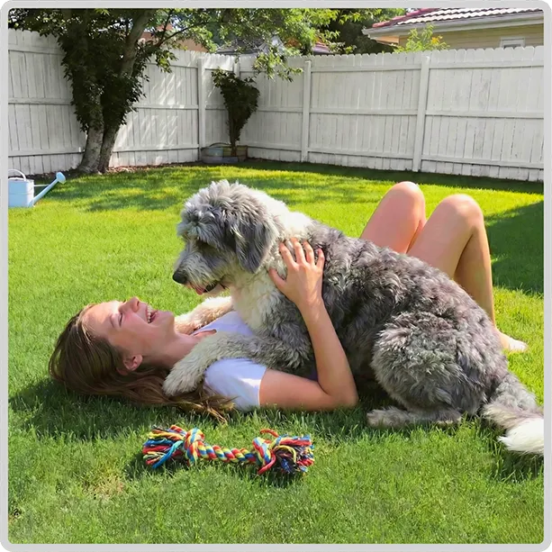 A young woman lying on the grass in a sunny backyard, laughing as a large fluffy dog lies on top of her. A colourful rope toy sits on the lawn nearby.