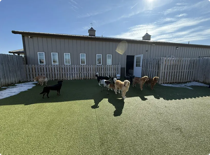 Pet Facility