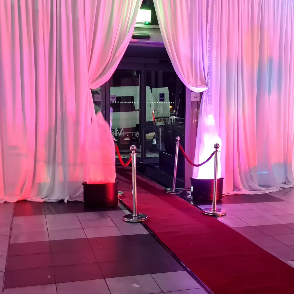 VIP red carpet entrance with gold barriers at an elegant event