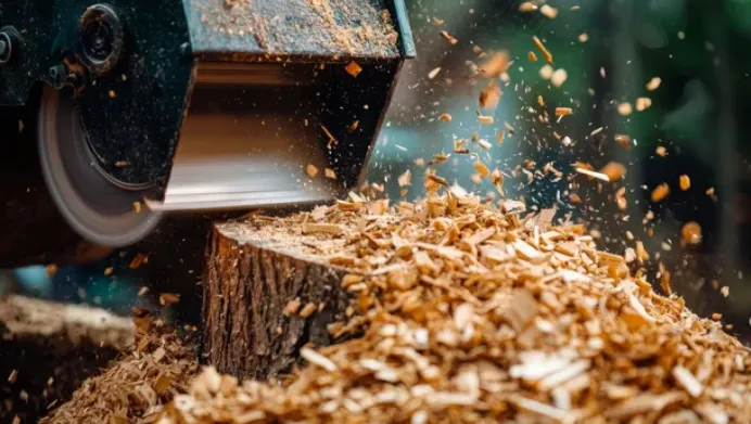 Stump Grinding and Removal