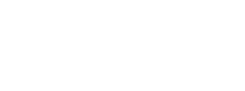 Flex Capital
