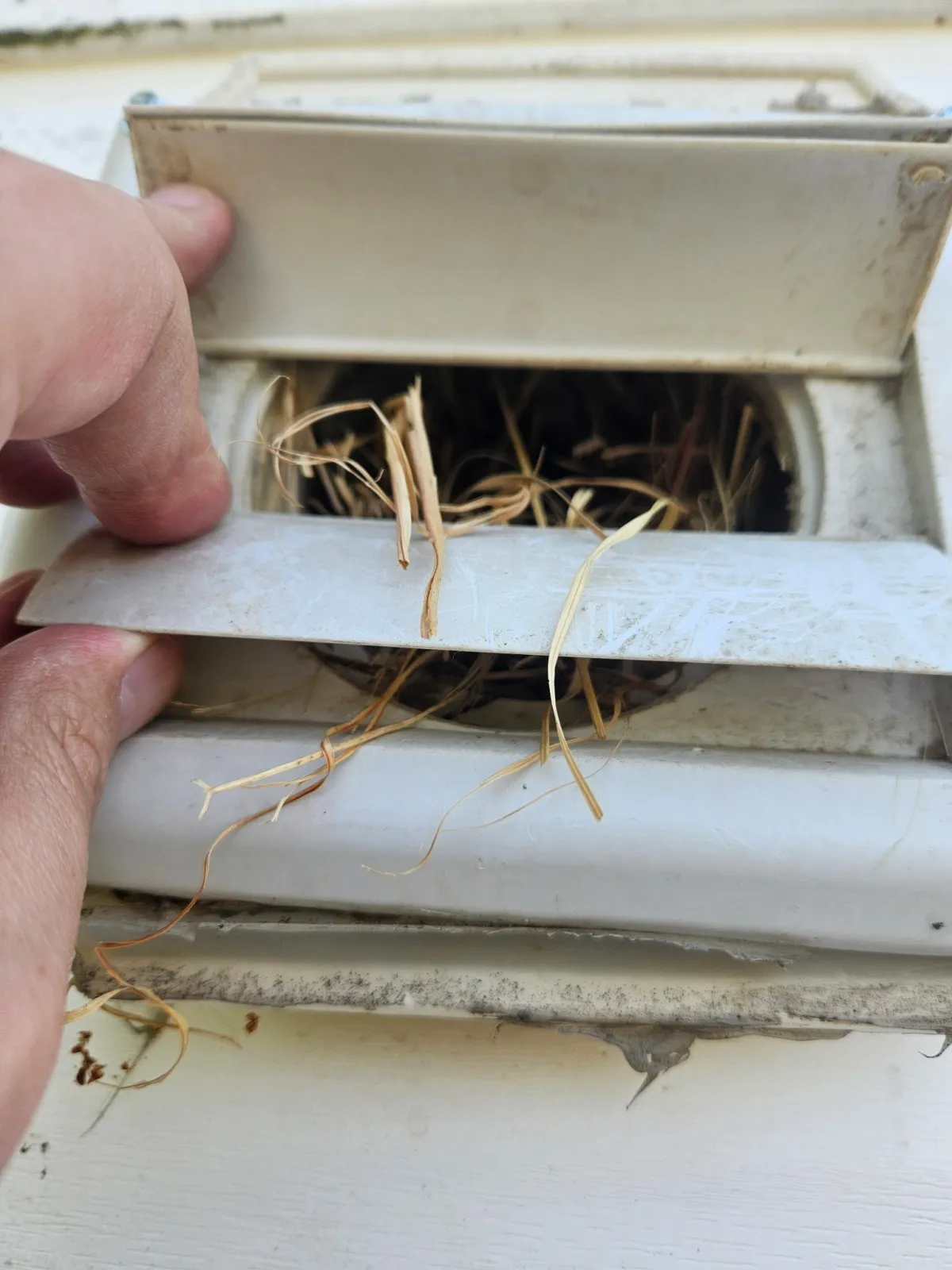Clogged dryer vent filled with lint buildup showing need for professional dryer vent cleaning