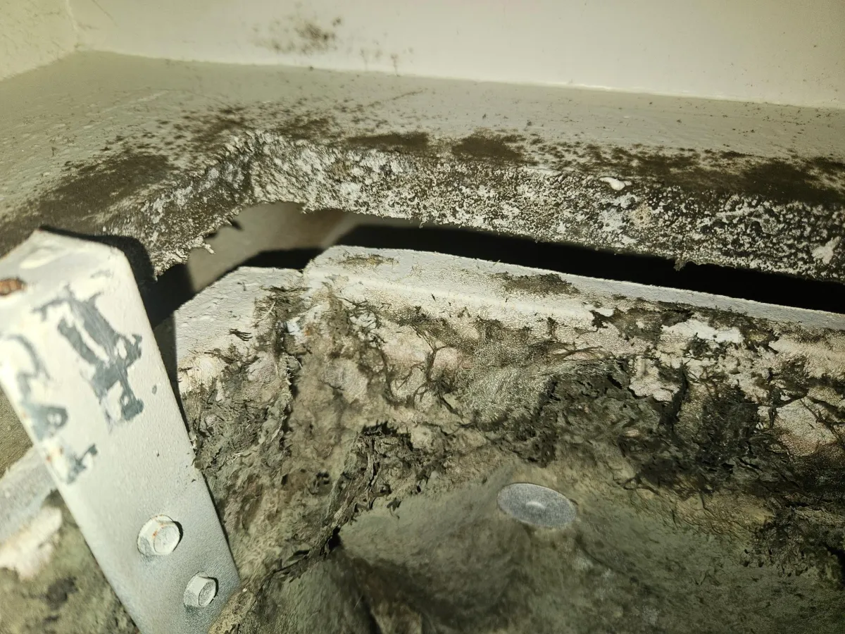 Visible microbial growth and heavy dust buildup around HVAC supply vent discovered during professional inspection