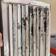 mold found on hvac air vent during duct inspection in memphis tn home