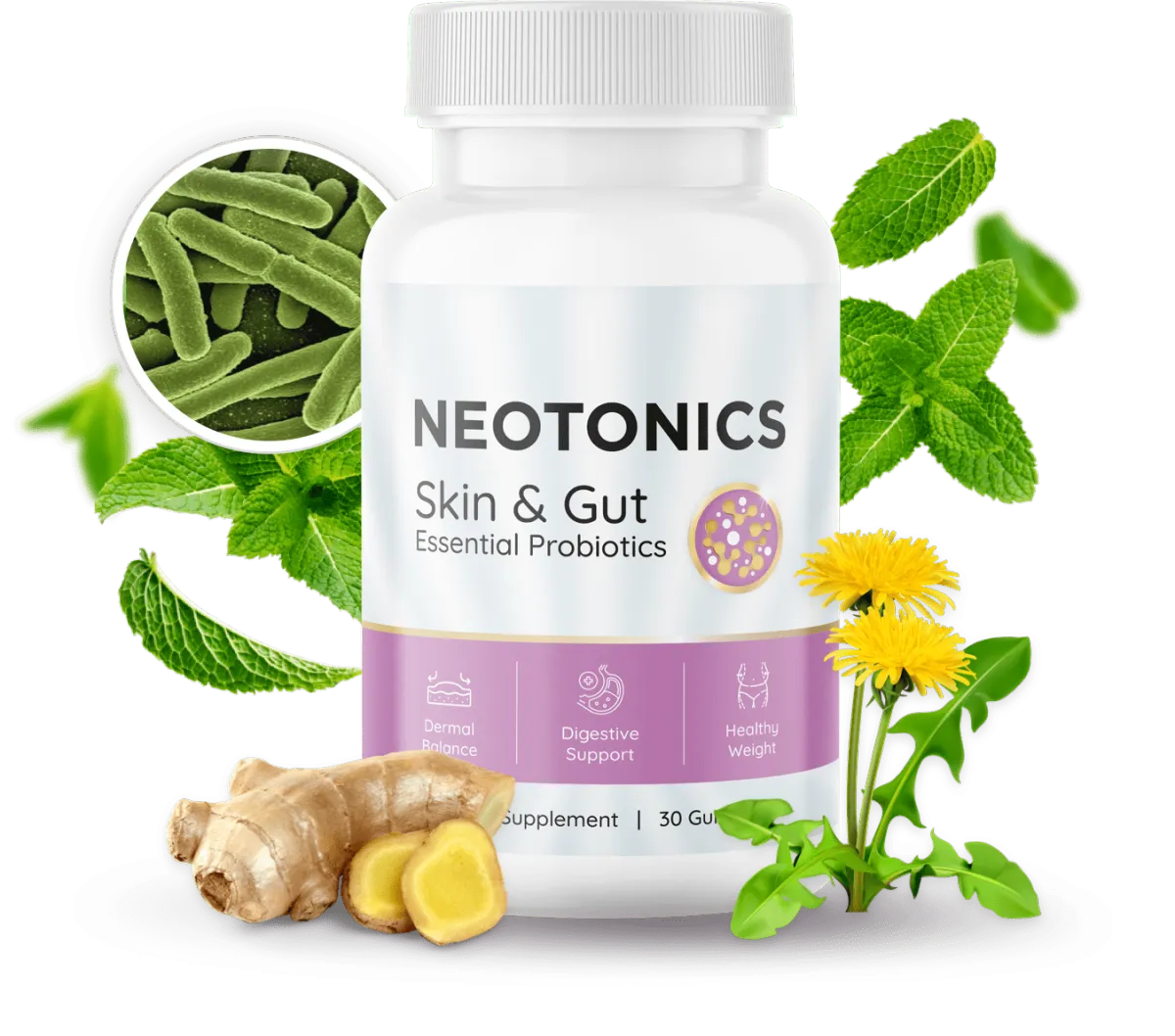 Neotonics 1 Bottle