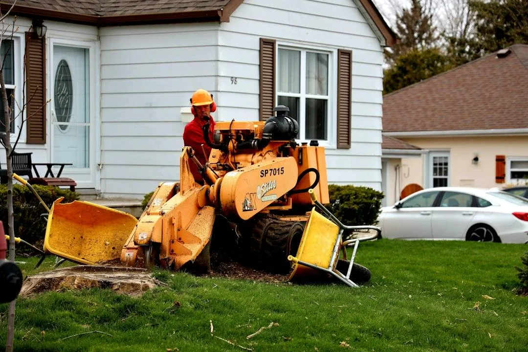 stump grinding