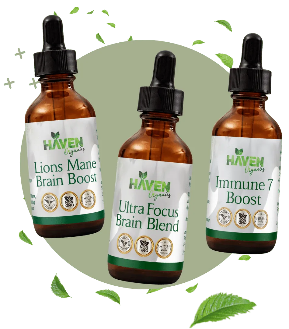 Lions Mane Brain Boost | by Haven Organics | Mushroom Wellness Supplements