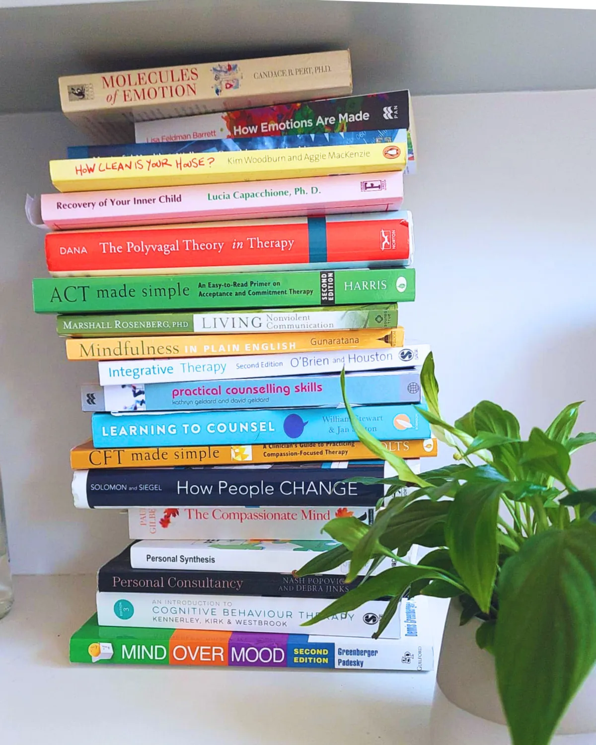 Celine sitting behind table with Apple laptop and nutrition books. In front of the table is Rapid Relief Homeopathy book