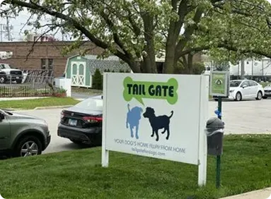 Tail Gate for Dogs