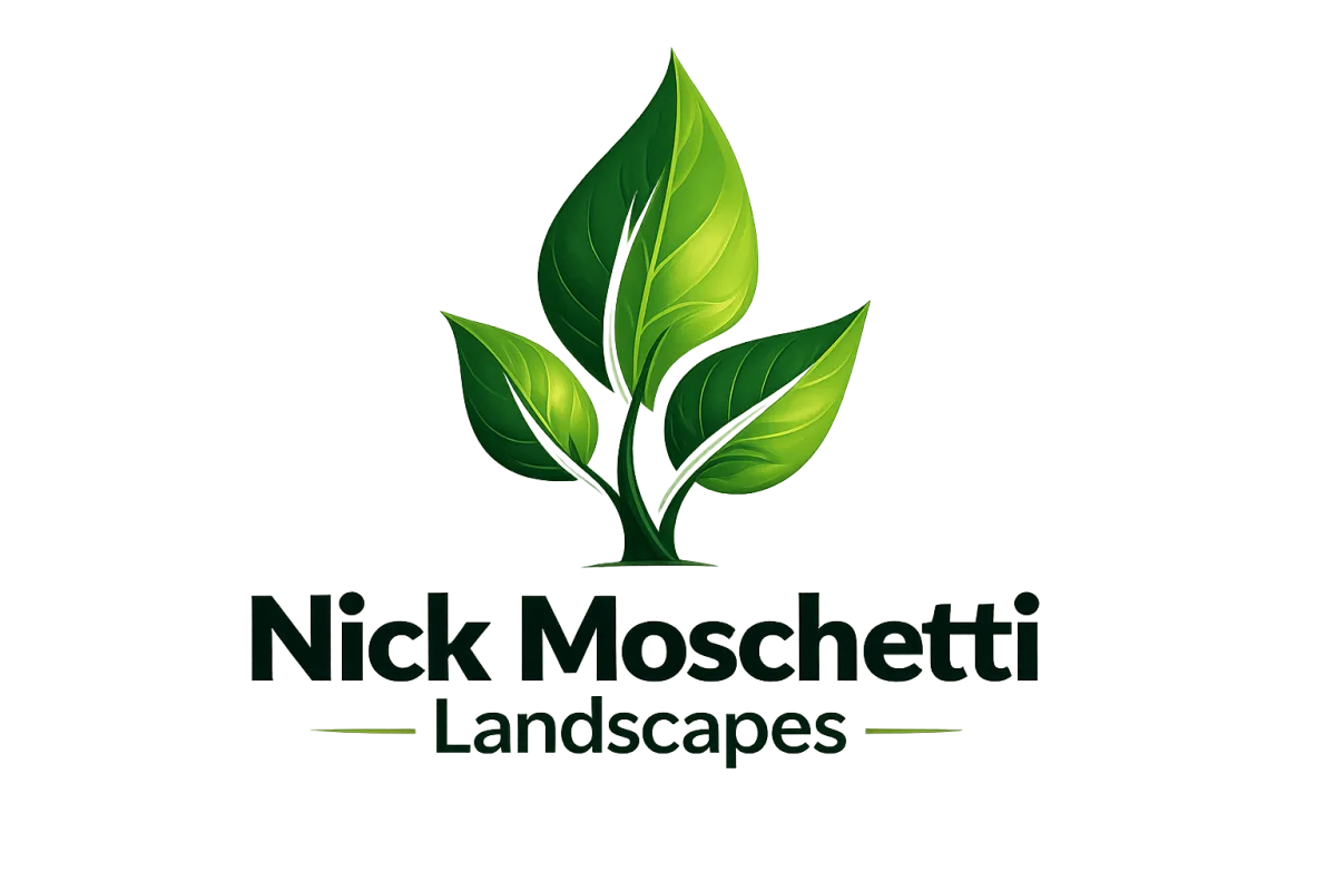 Tree Pruning Services Perth