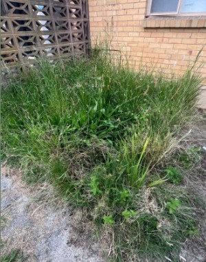 Property Maintenance Ellenbrook