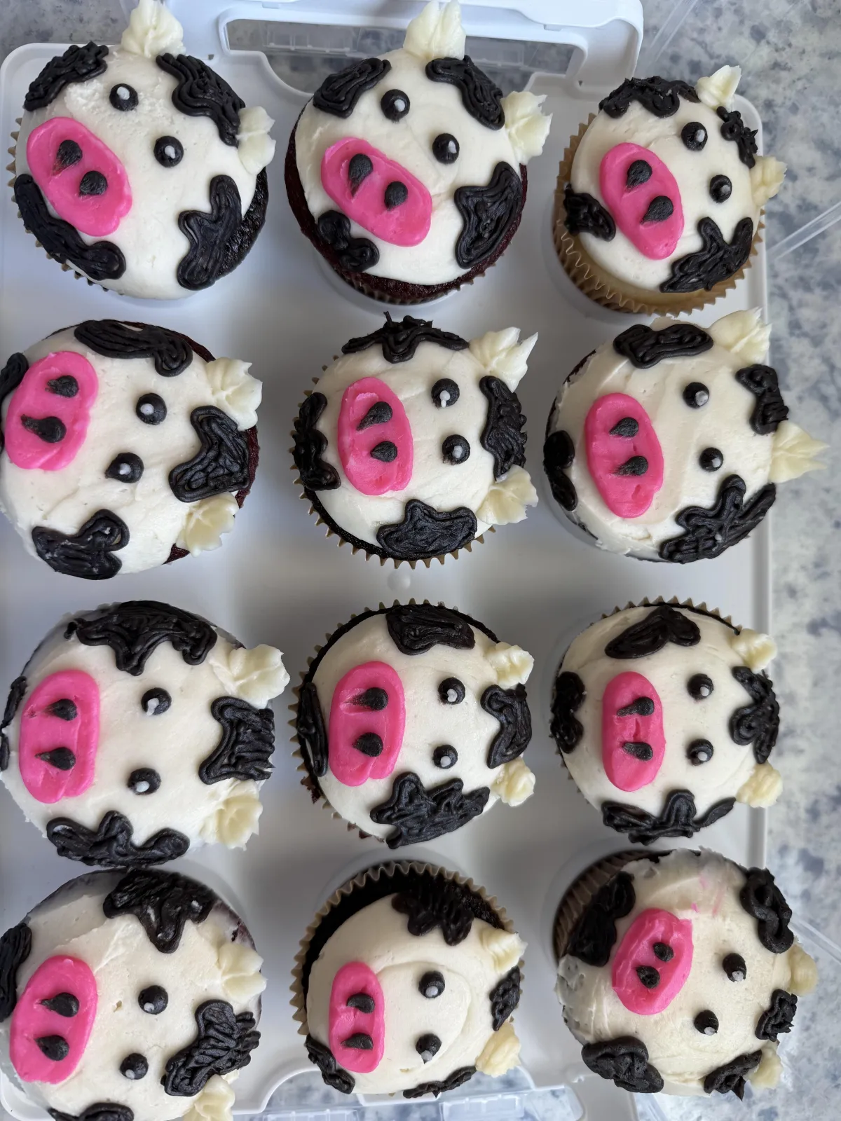 alt="Cow birthday cupcakes."
