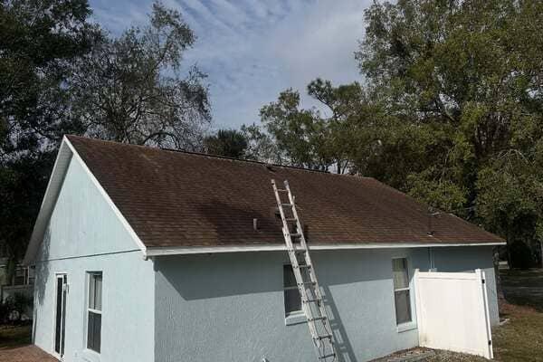Dr. Phillips Interior Painting
