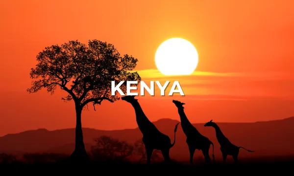 Africa Cruises from Kenya